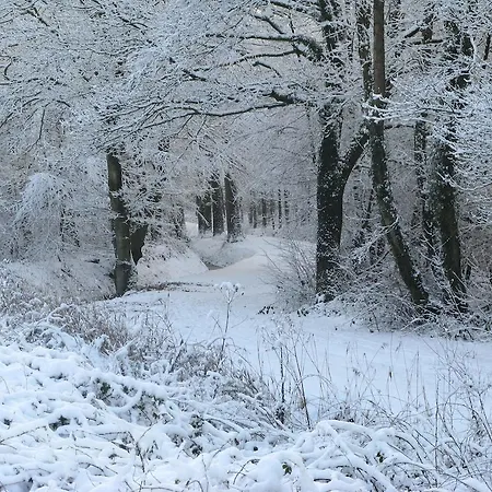 Het Koetshuis Ruurlo