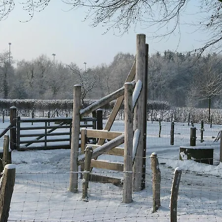 Apartment Het Koetshuis Ruurlo