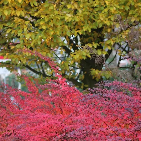 アパート Het Koetshuis