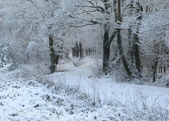 Het Koetshuis Рюрло