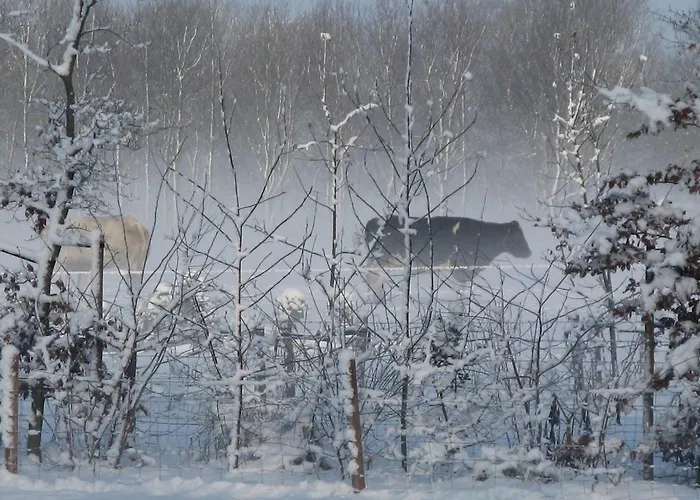 Apartment Het Koetshuis
