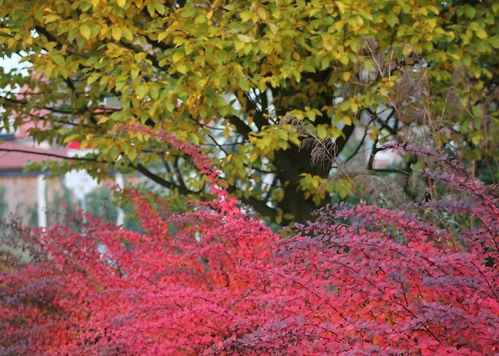 Апартаменты Het Koetshuis