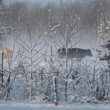 Apartamento Het Koetshuis
