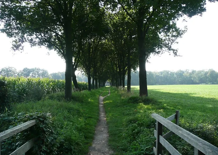 Apartament Het Koetshuis *